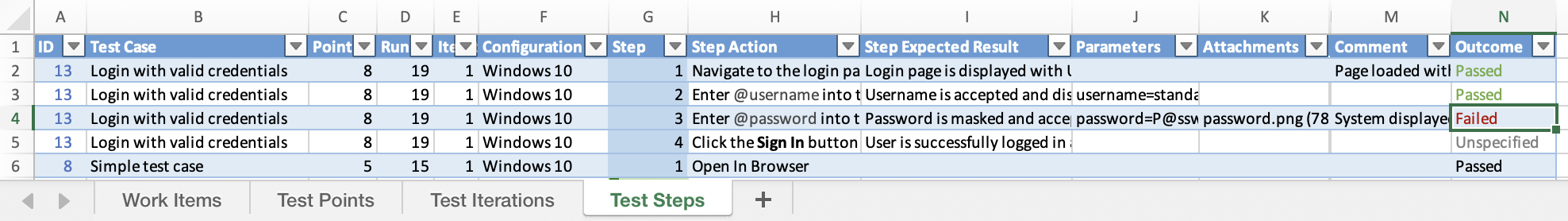 Test Execution Report
